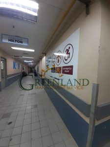 81394098_2627781374141586_6206456552807727104_n