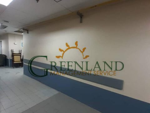 82001428_2627781354141588_6284129223879688192_n