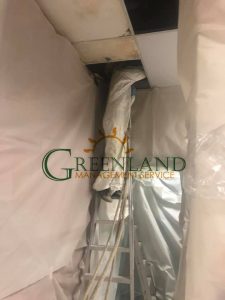 118173482_2827576217495433_3121522140006526910_n